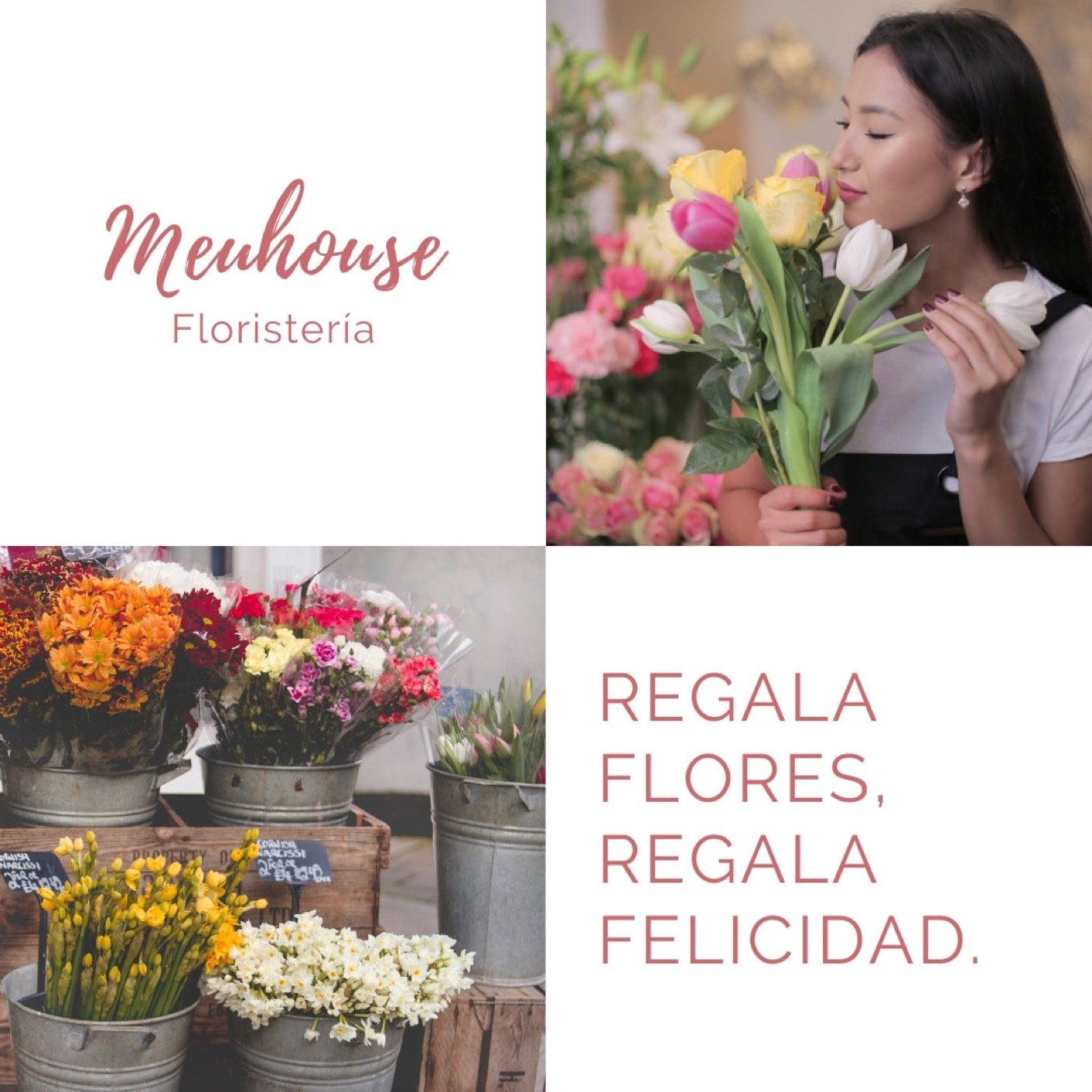 Meuhouse Floristería — regala flores, regala felicidad